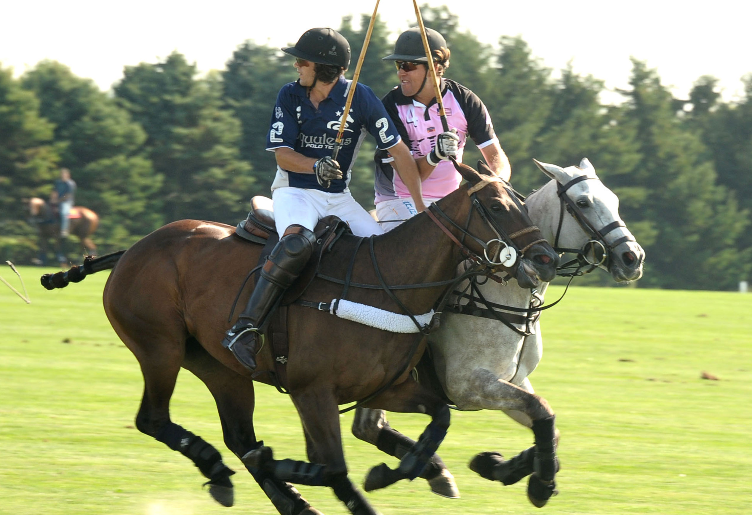 Polo Hamptons Polo Hamptons