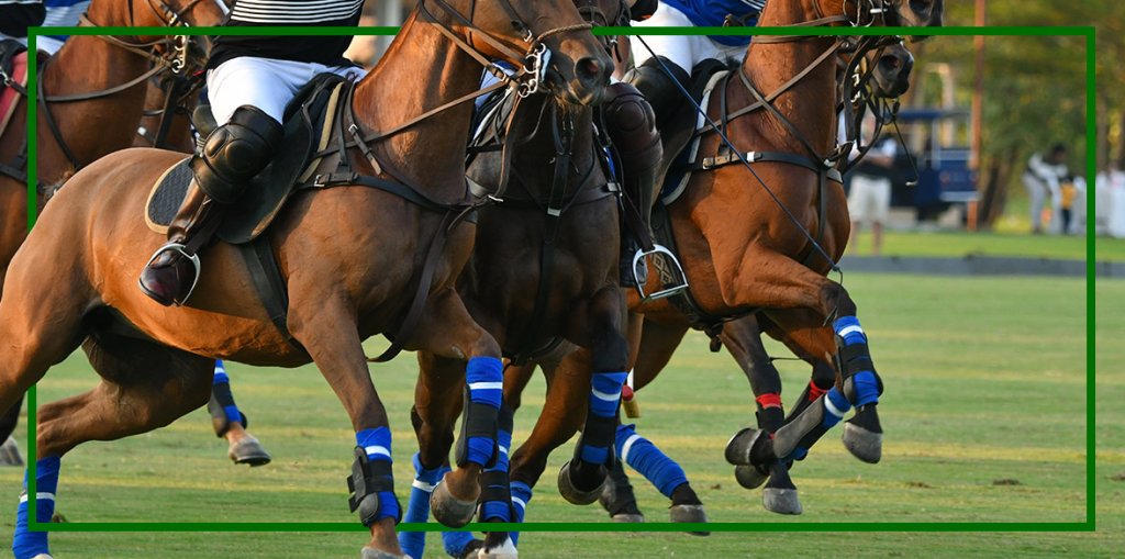 us polo slider