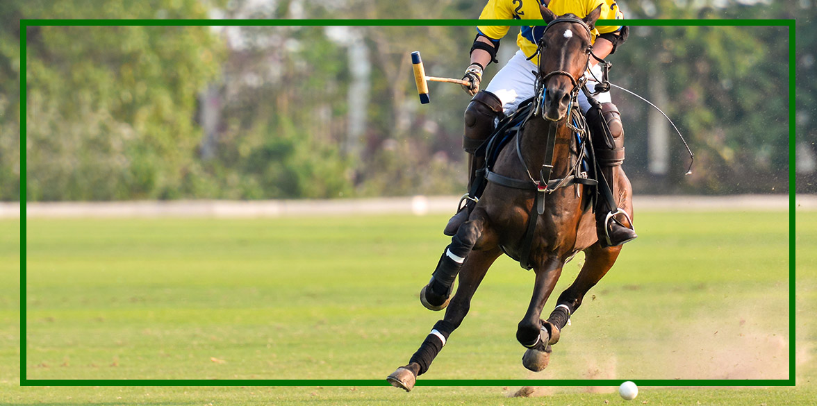 us polo slider
