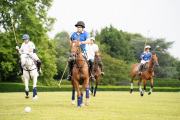 polo62