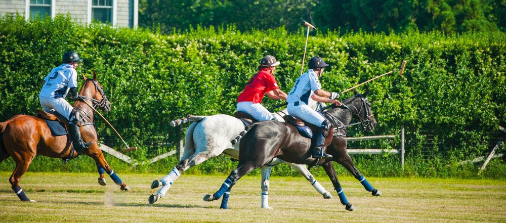 Polo Hamptons action on the field