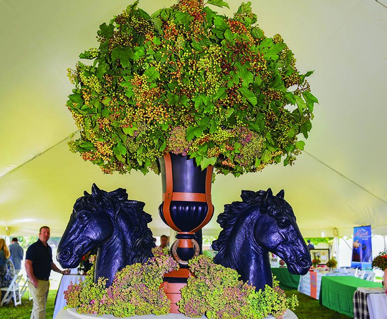 Polo Hamptons match
