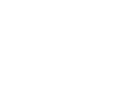 Polo Hamptons